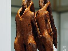 -海窝子刘鹅肉(总店)