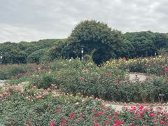 -立新湖公园