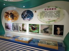 -上海昆虫博物馆