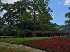 -广州市流溪河国家森林公园