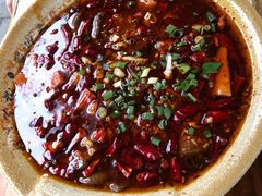 -青城甲(青城山店)