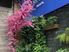 -JOYA湾悦国际酒店(世界之窗店)