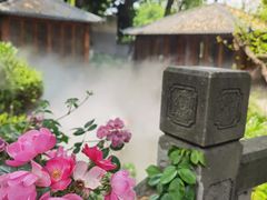 -大妙火锅·非物质文化遗产(东湖公园店)