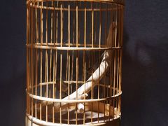 -叁拾壹丨浮世绘x壹拾叁沉浸演绎剧场