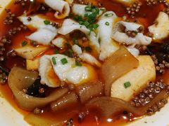 -九毛九西北菜(百信广场店)