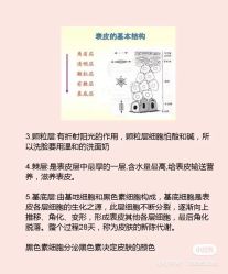 -海茱雅科技健康美容