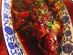 红烧鸡格朗-洞天食府(北大街店)