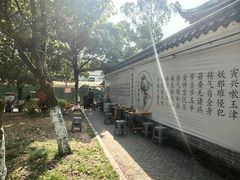 -张醪糟