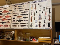 -镹·鱼料理  国产鱼使用店