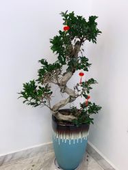 -痘院长·祛痘·皮肤管理