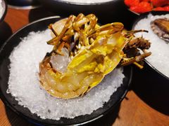 -东海怡品海鲜豆捞(星街坊店)