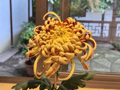 -汇龙潭