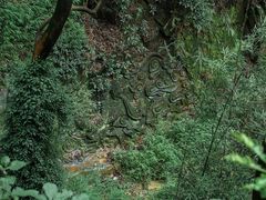 -南山植物园