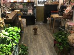 -以前的小酒馆(中山广场店)