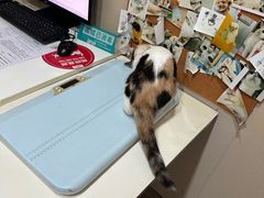 -立德动物医院·24小时中心(番禺区院区)