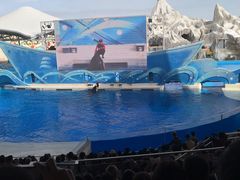 -上海海昌海洋公园