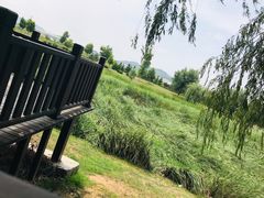 -羊亭河湿地公园