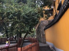 -灵岩山风景区