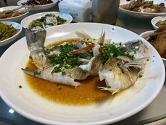 葱油鲈鱼-小本鸡饭店(滨江白马湖店)