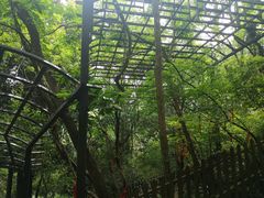 -玉女潭景区