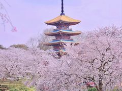 -东湖磨山景区