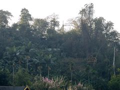 -西双版纳原始森林公园