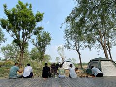 -东郊湿地公园