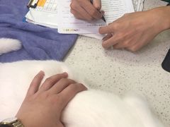 -瑞鹏·疫苗·绝育·宠物医院(金沙洲店)