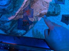 -沈阳海洋探索中心