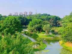 -东莞植物园