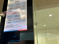 -龙阳路磁悬浮列车总站-停车场