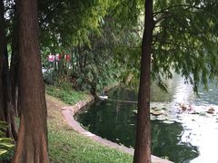 -晓港公园