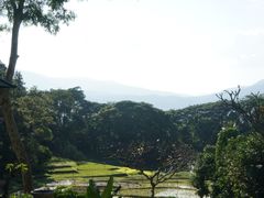 -四季酒店下午茶