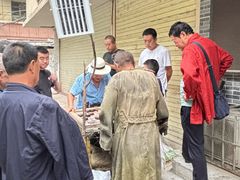 -正宁路小吃夜市