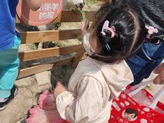 -菊园百果园