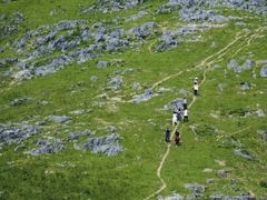 -秦岭风景区