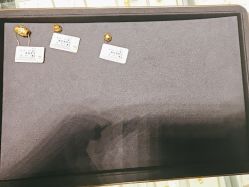 -中国黄金(北京旗舰店)