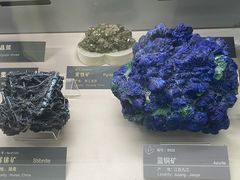 -中国地质博物馆