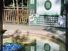 -天目湖涵田半山温泉