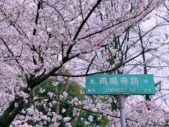 -鸡鸣寺