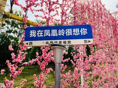 -北京凤凰岭