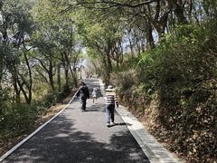 -平湖九龙山旅游度假区