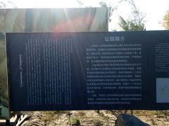 -二连浩特国家地质公园