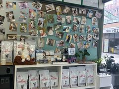 -爱妮康宠物医院·干细胞免疫细胞·肿瘤·心脏(张江店)