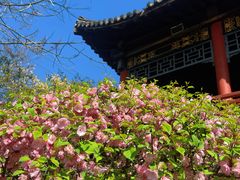 -碑林公园