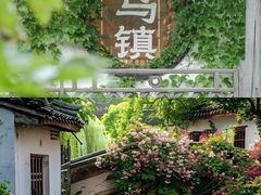 -乌镇景区