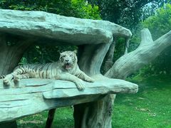 -北京野生动物园