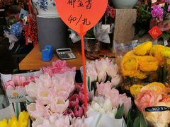 -溪岸路花鸟市场