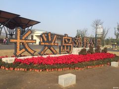 -上海长兴岛郊野公园