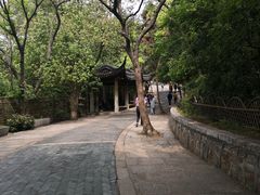 -灵岩山风景区